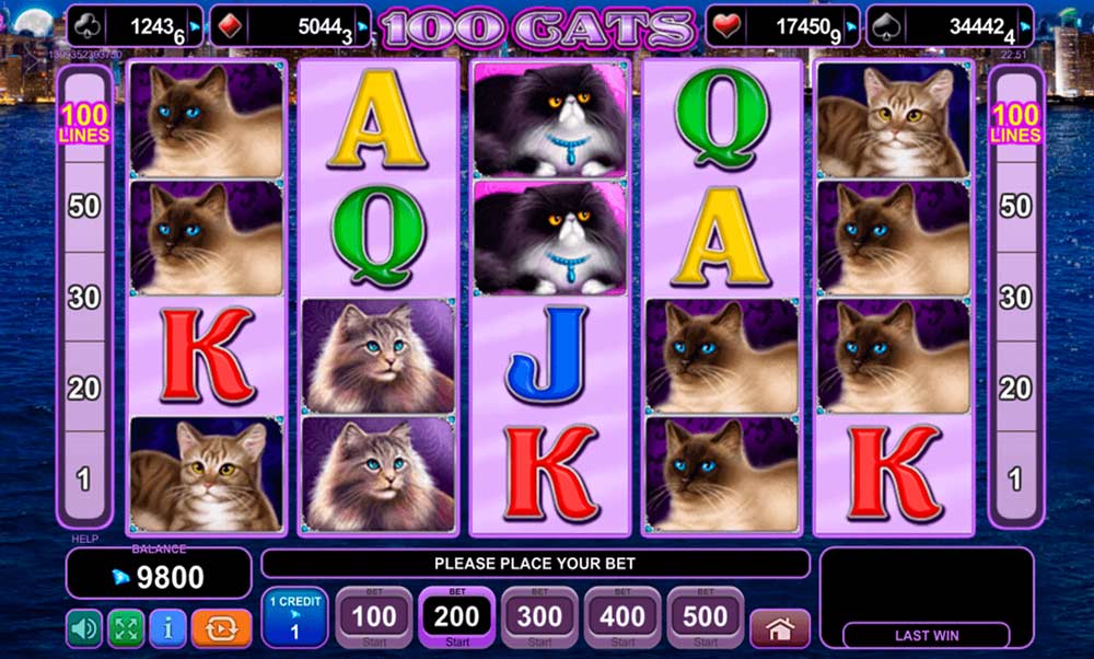 100 Cats Preview