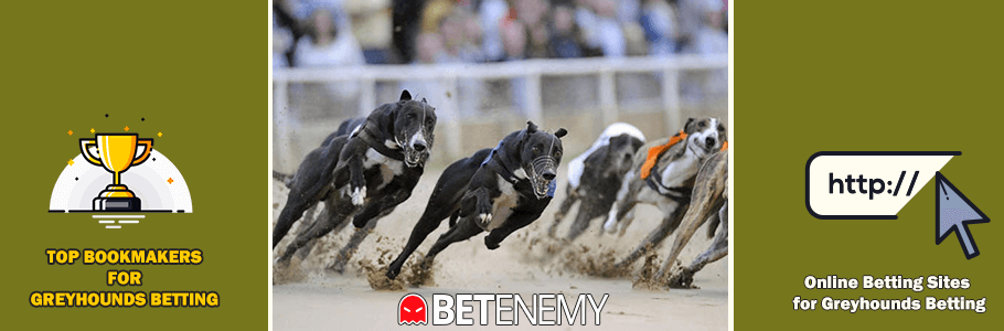 Best bookmakers for greyhounds betting