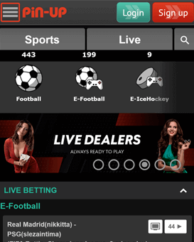 pin-up bet mobile screenshot