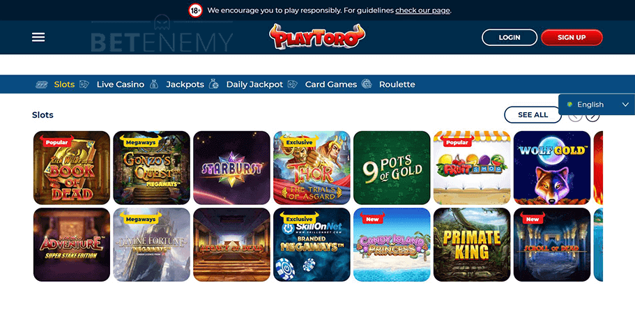 PlayToro Casino Website Design